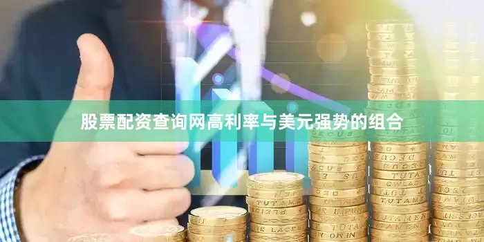 股票配资查询网高利率与美元强势的组合